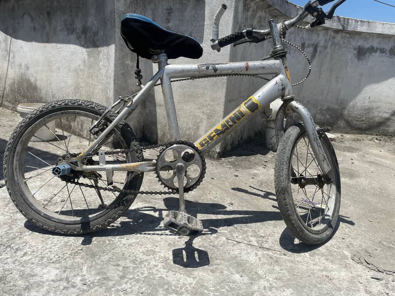 cycle 0