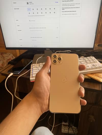iPhone 11 Pro Max panel change