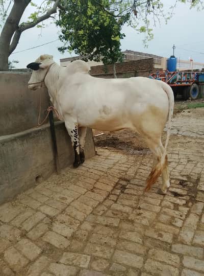 Demand 5.80 lac