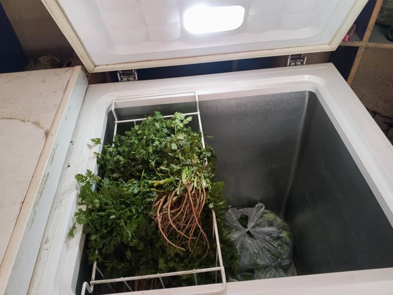 use condition freezer 2