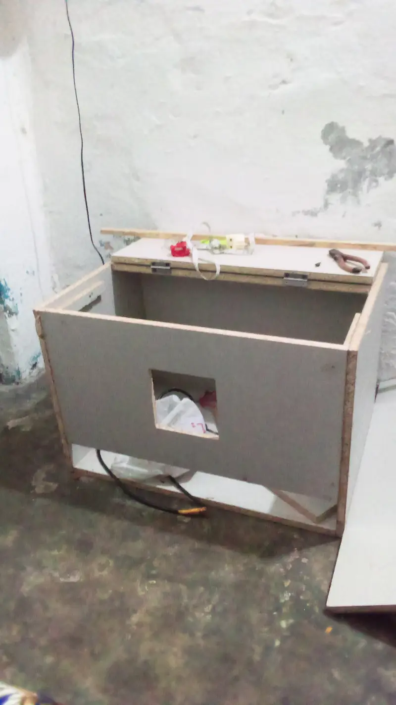 Milli flower, Japanese,rir,/incubator, brooder — photo 11