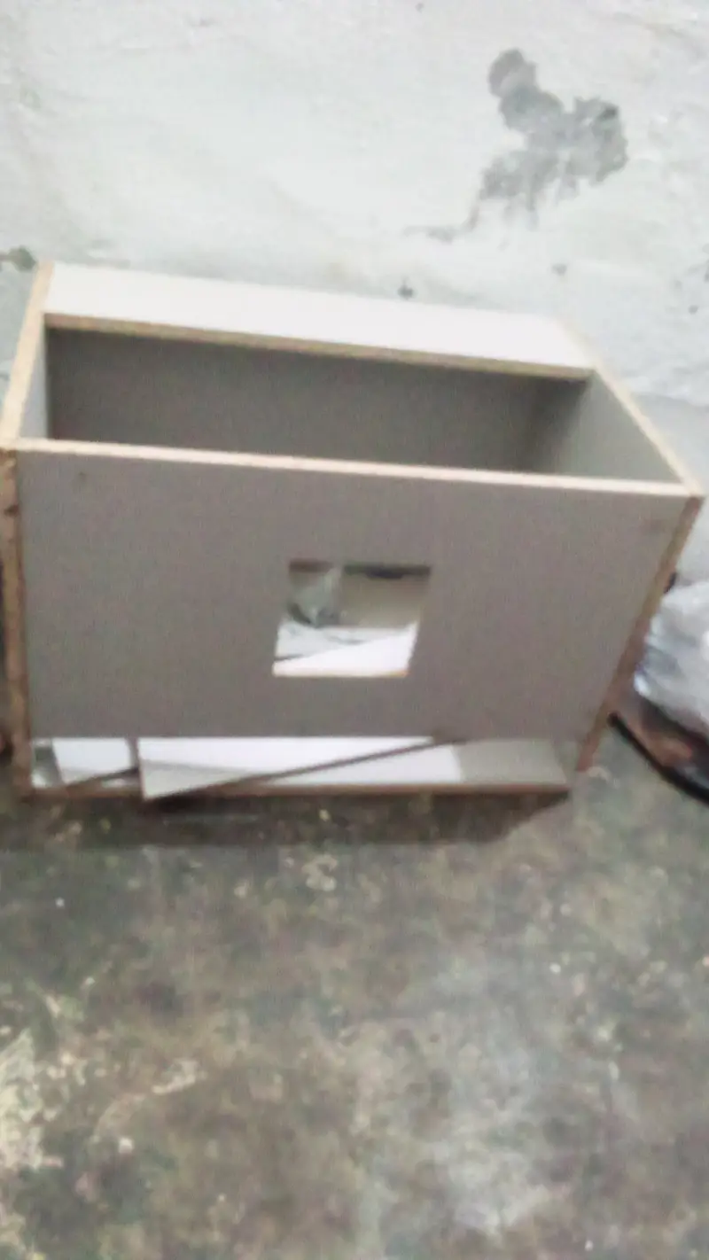 Milli flower, Japanese,rir,/incubator, brooder — photo 12