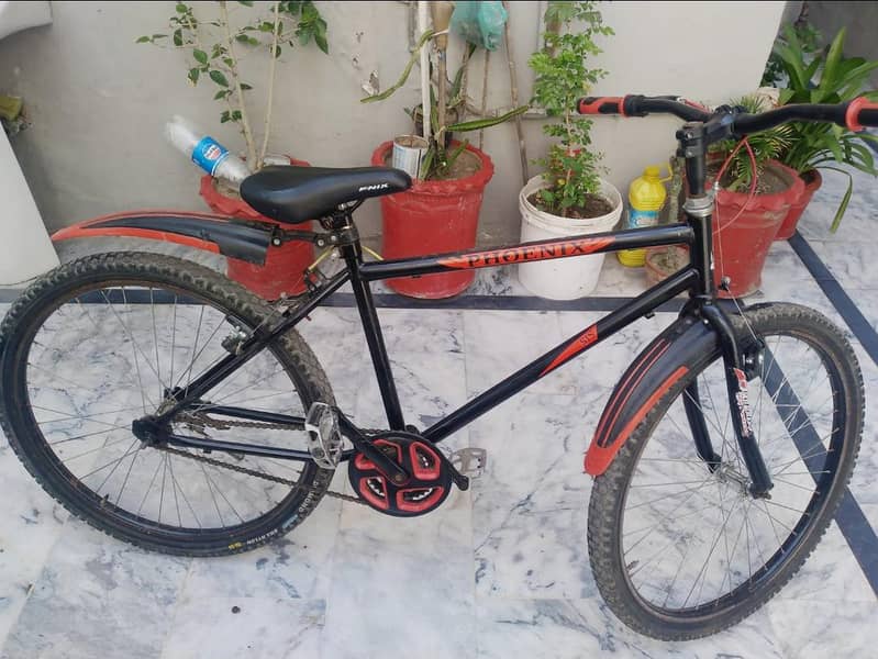 Phoenix cycle 1