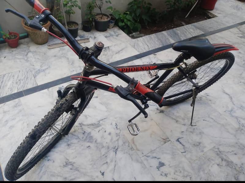 Phoenix cycle 2
