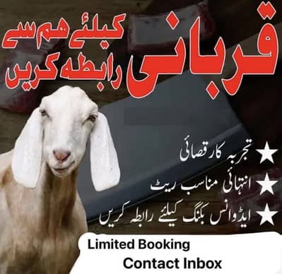 Butchers For Eid Sacrifices (Qasai Eid ki Qurbani K Liya Dastyab Ha)