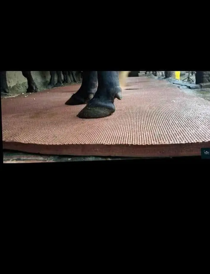 cow floor rubber mats — photo 9