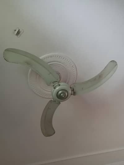 Indus Fan