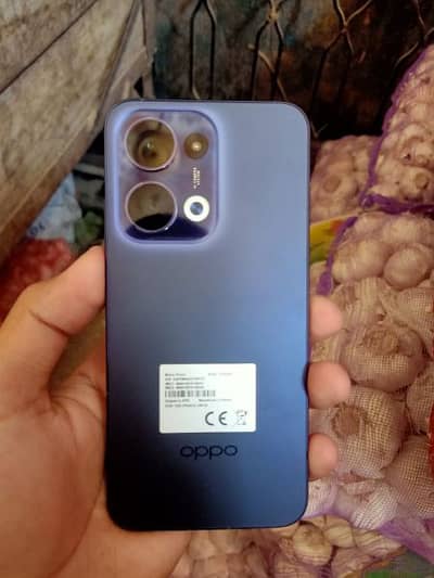 oppo Reno 13