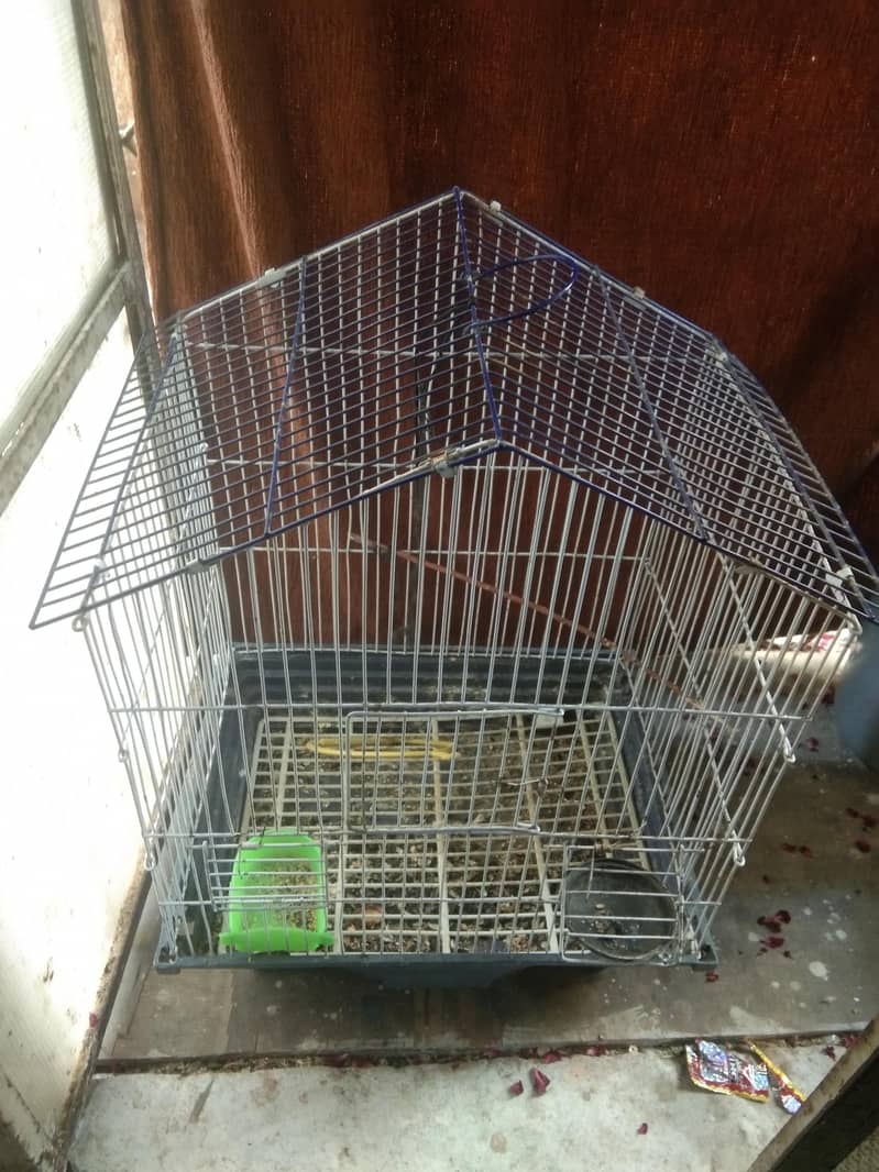 birdcage 1