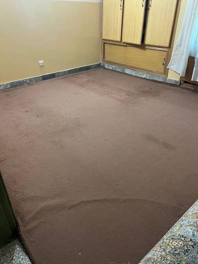 urgent carpet sale