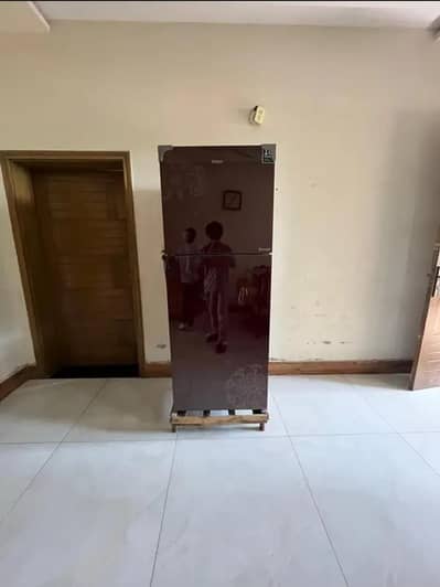 Hair Fridge Double door Glass
