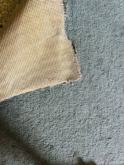 carpet for sale