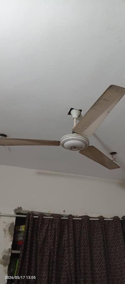 fan for sale