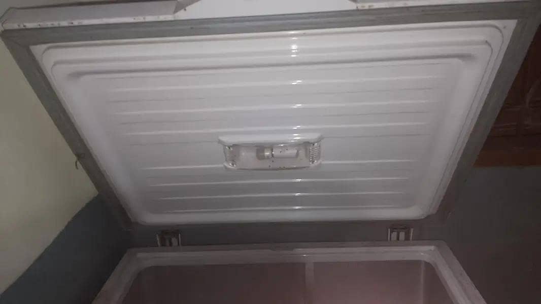 Freezer 7