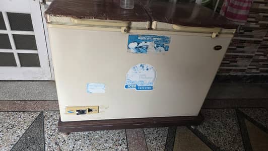 freezer new Condition