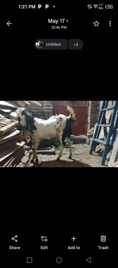 qurbani 2026