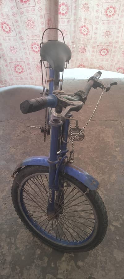 children cycle