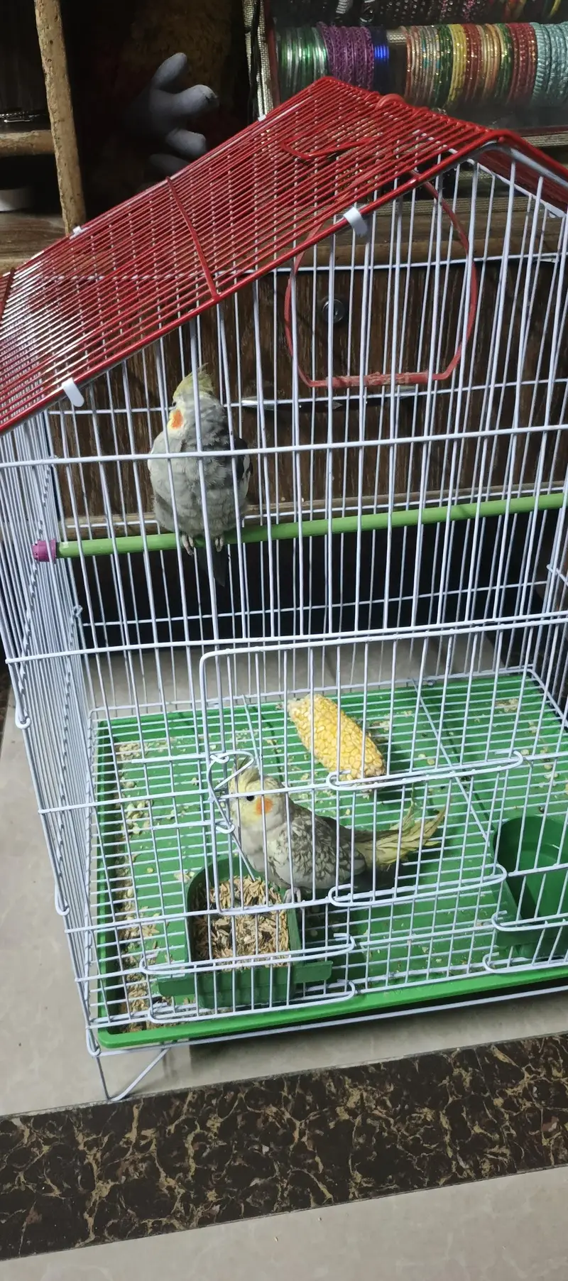 Cocktail pair with cage and without cage — photo 5