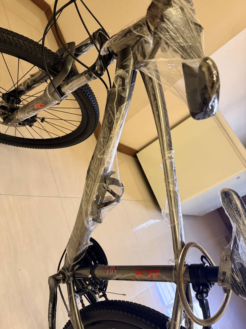 Bicycle 4