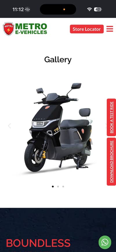 Electric bike T9