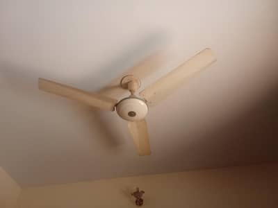 pak fan 56 inch good working condition  I am going out of country