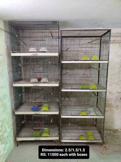 love birds cages for sale