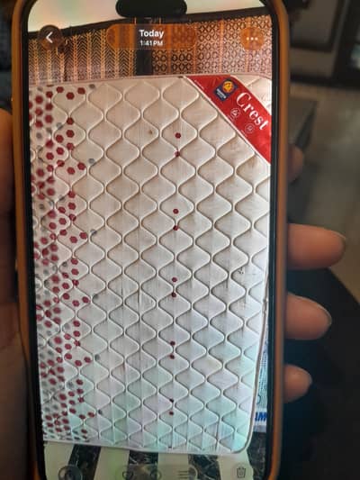Master Grest spring mattress