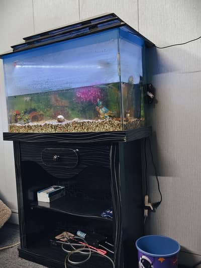 FISH TANK