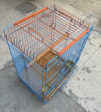 BIRDS CAGE