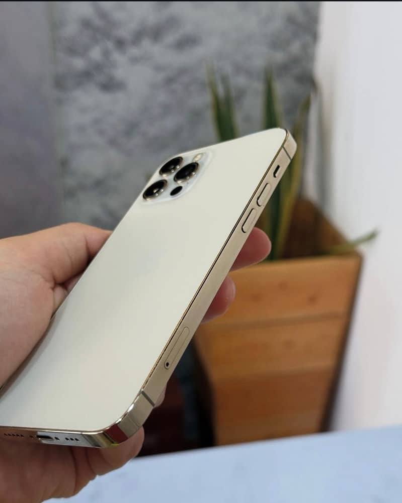 Iphone 12 Pro 1
