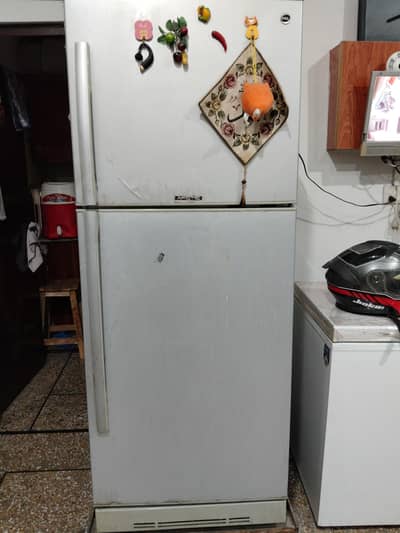 PEL Full large Size Fridge