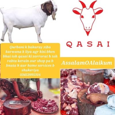 Qasai