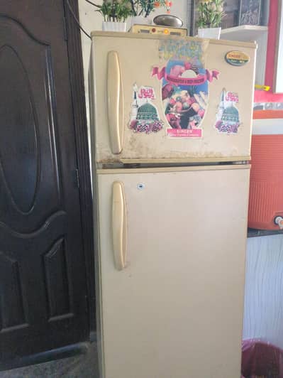 used fredg for sell