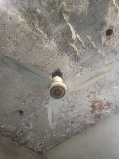 chenab ceiling fan quantity 2 original   pure copper