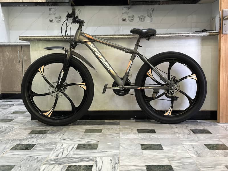 Bicycle 1
