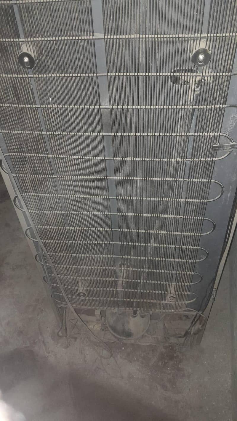 medium 3