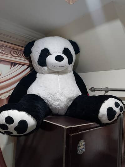taddy panda