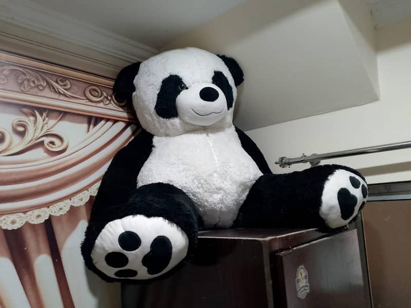 taddy panda 5