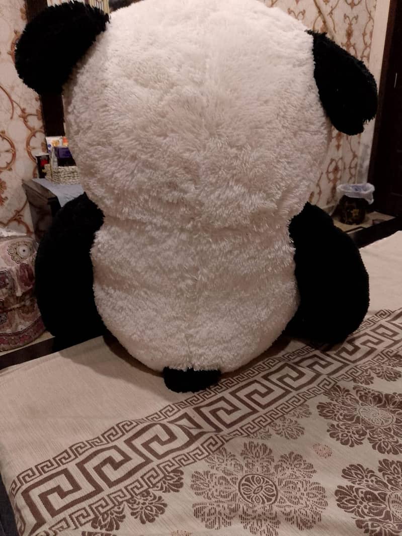 taddy panda 6