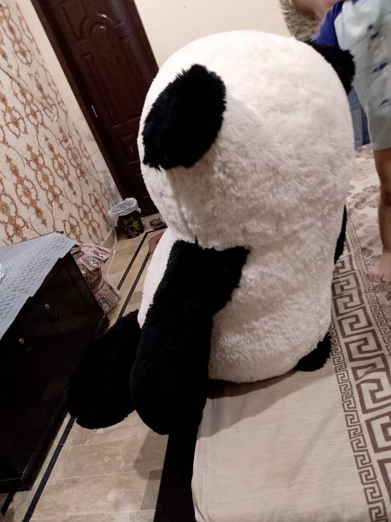 taddy panda 7