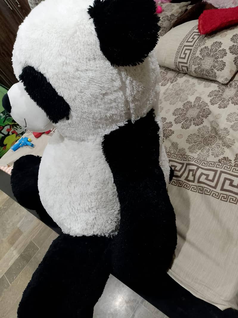 taddy panda 8