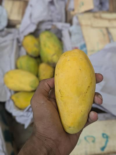 Mango available