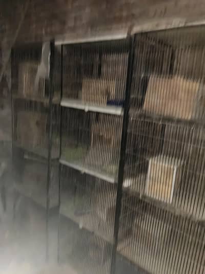 3 bird cages 4 poshion