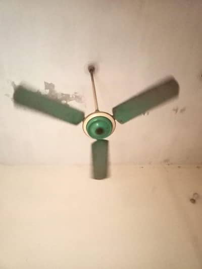 3 ceilitfan