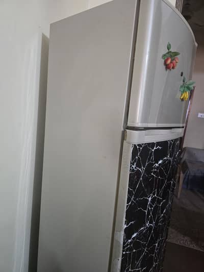 fridge ,freezer ,refrigerator