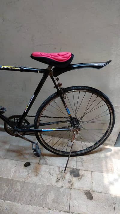 seriously buyer contact
