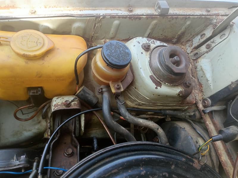 suzuki 14
