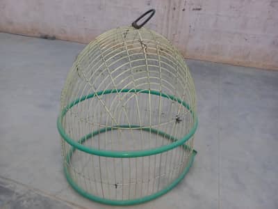 Big Cage