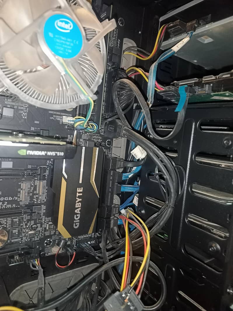 pc sael 2