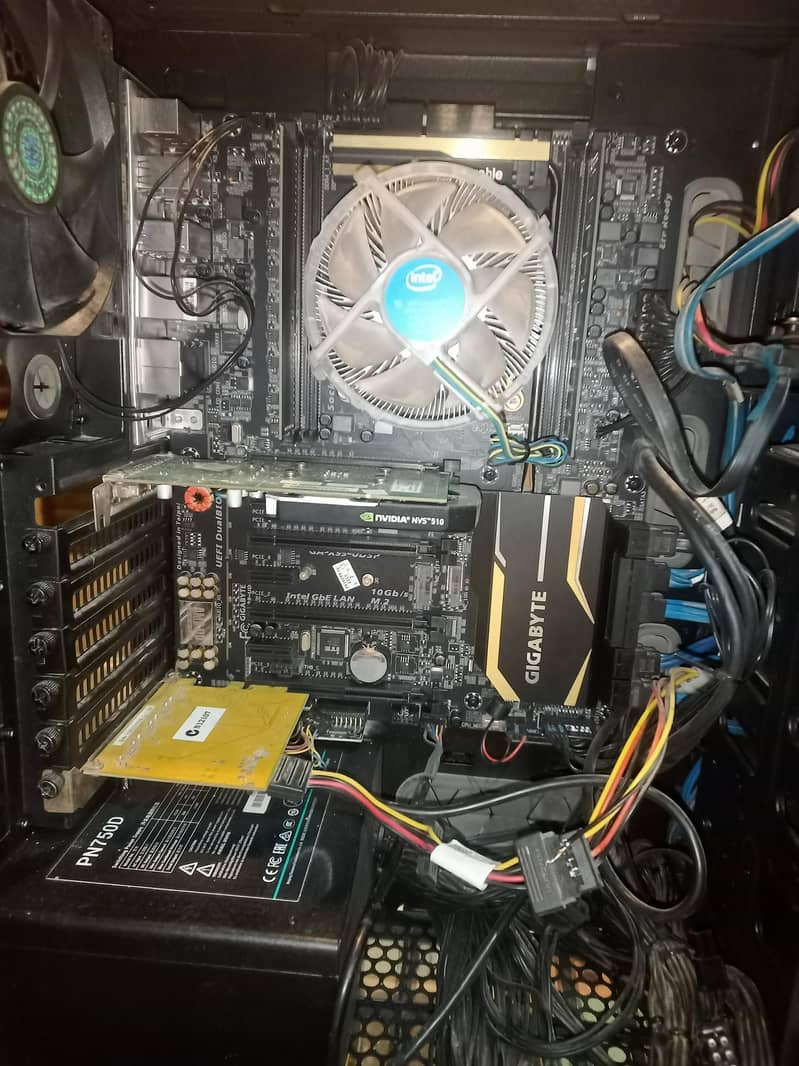 pc sael 4